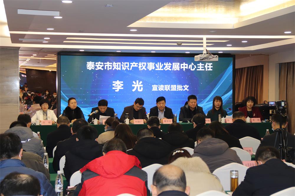 邻居姐姐半夜舔我日韩av