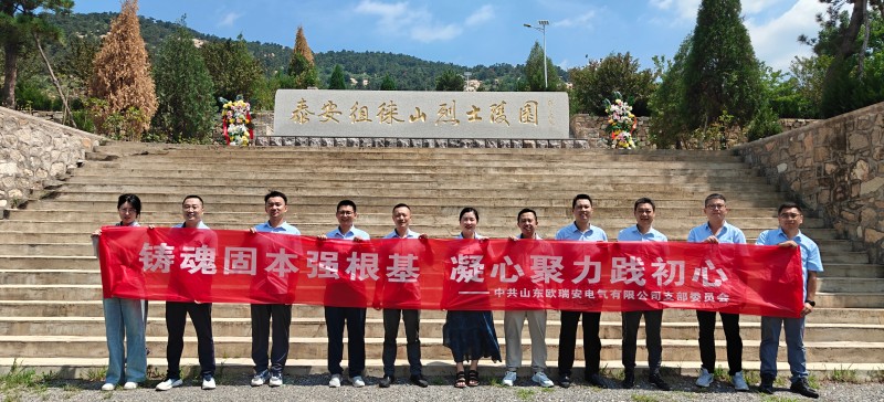 铸魂固本强根基，凝心聚力践初心